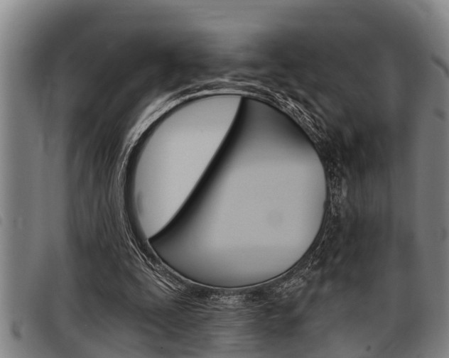 X0000098110295200804040807