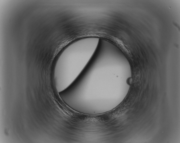 X0000098110299200804040807