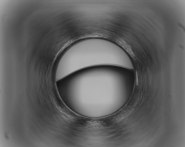 X0000098110300200804040807