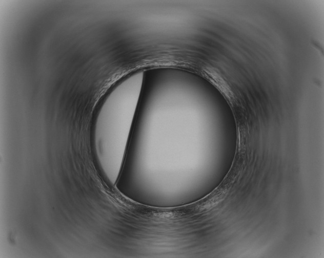 X0000098110301200804040807