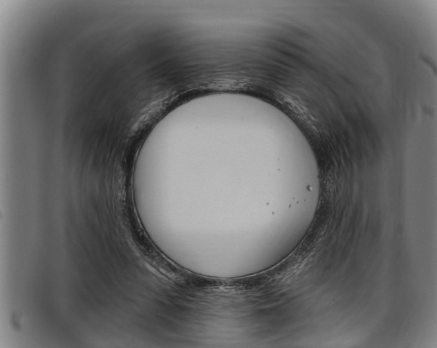 X0000098110303200804040807