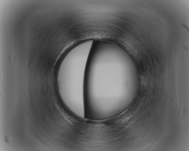 X0000098110304200804040807