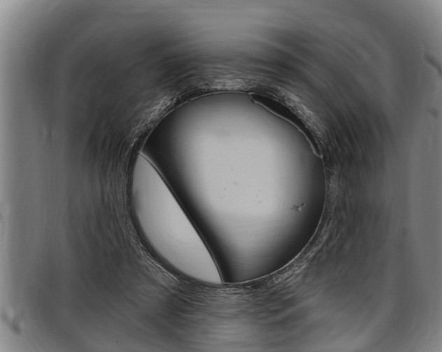 X0000098110305200804040807