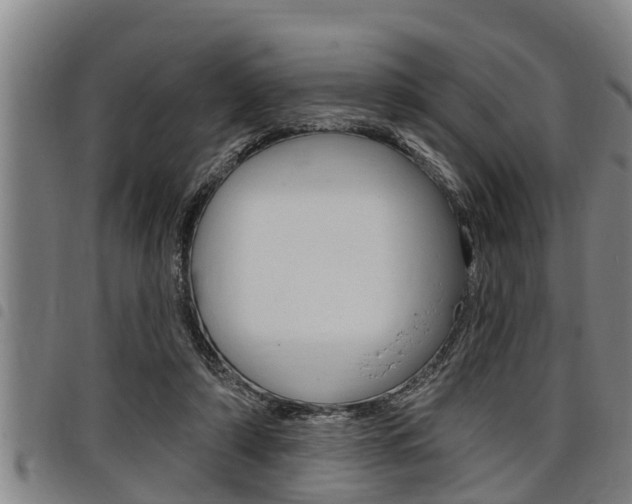 X0000098110306200804040807