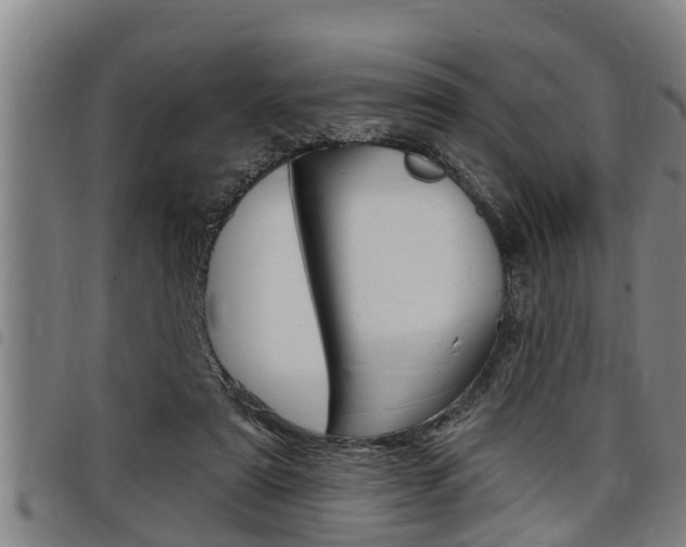 X0000098110307200804040807