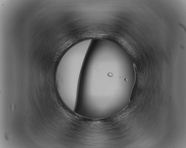 X0000098110309200804040807
