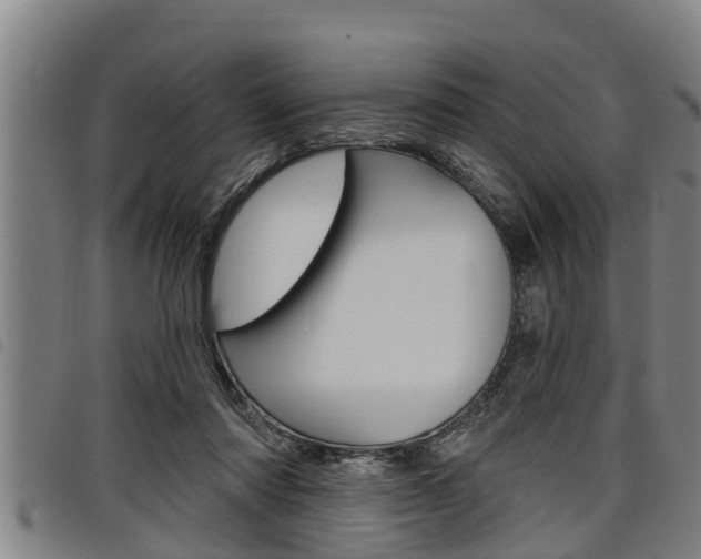 X0000098110310200804040807