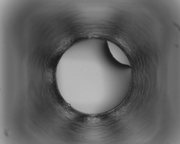X0000098110311200804040807