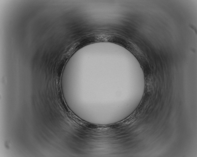 X0000098110314200804040807