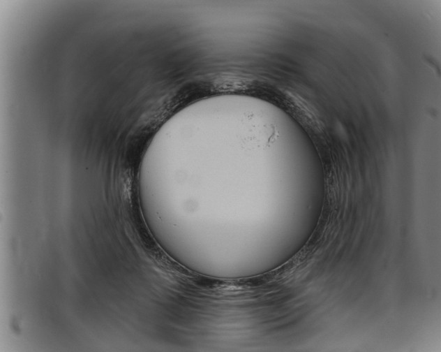 X0000098110315200804040807