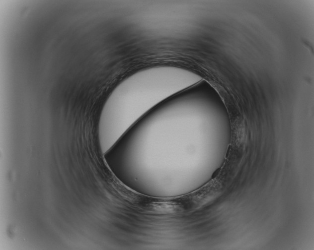 X0000098110316200804040807