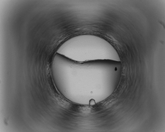X0000098110318200804040807