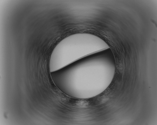 X0000098110319200804040807