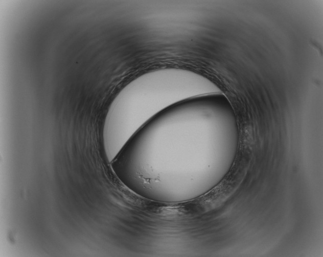 X0000098110320200804040807
