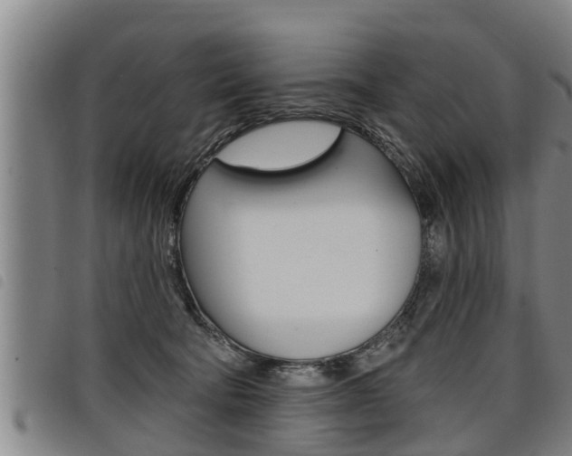 X0000098110322200804040807
