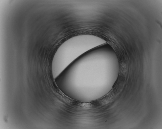 X0000098110324200804040807