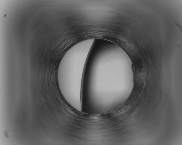 X0000098110325200804040807