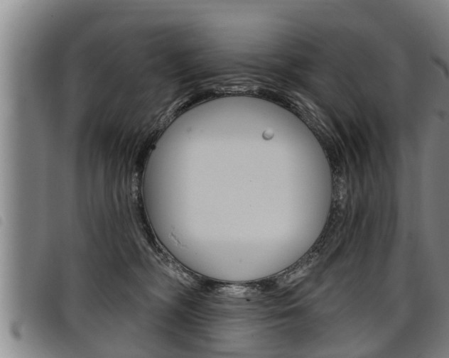 X0000098110326200804040807