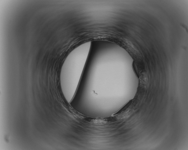 X0000098110327200804040807