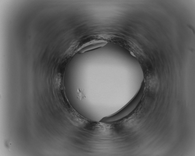 X0000098110328200804040807