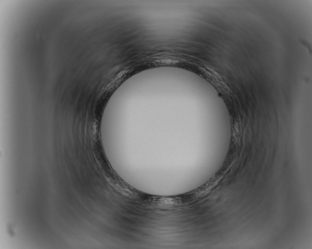 X0000098110330200804040807
