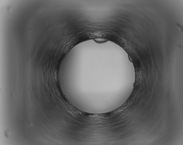 X0000098110331200804040807
