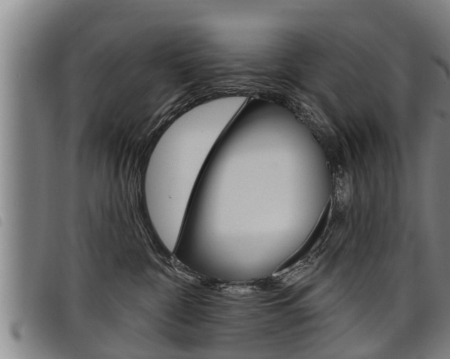 X0000098110332200804040807