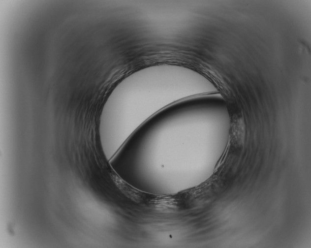 X0000098110333200804040807