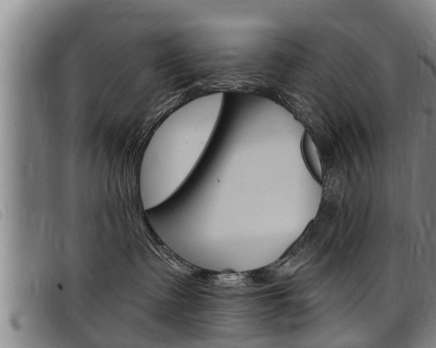 X0000098110335200804040807