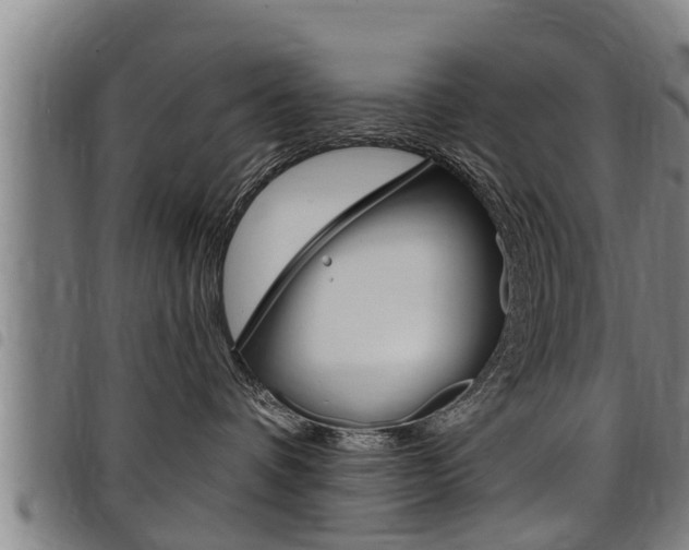 X0000098110336200804040807