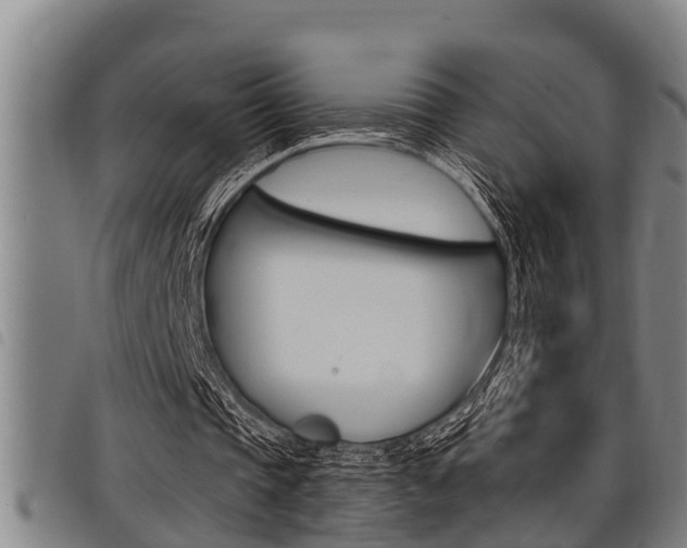 X0000098110337200804040806