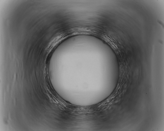 X0000098110338200804040806