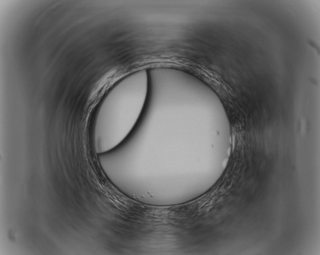 X0000098110339200804040806