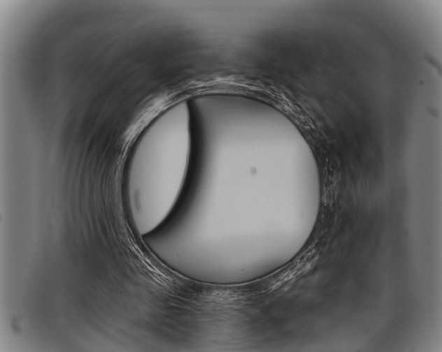X0000098110341200804040806