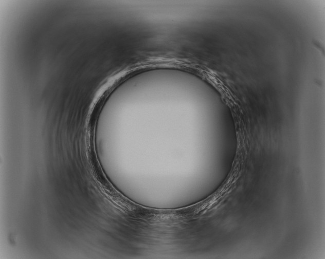 X0000098110342200804040806