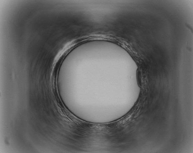 X0000098110343200804040806
