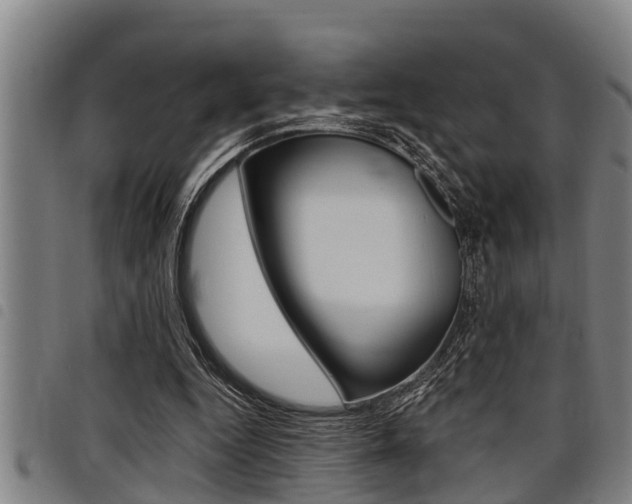 X0000098110344200804040806