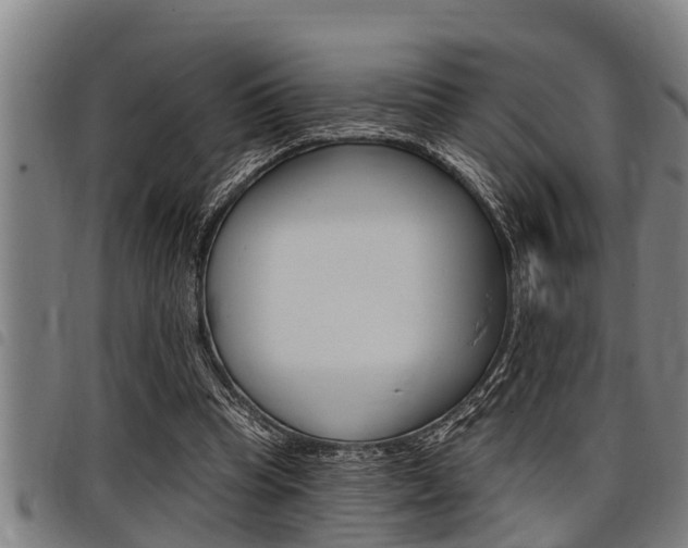 X0000098110345200804040806
