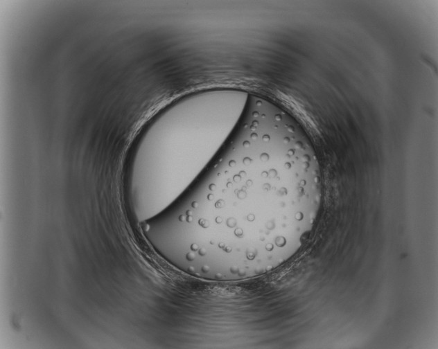 X0000098110346200804040806
