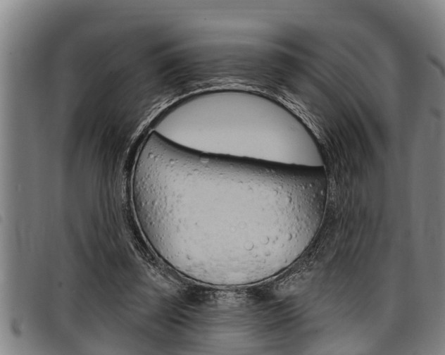 X0000098110347200804040806