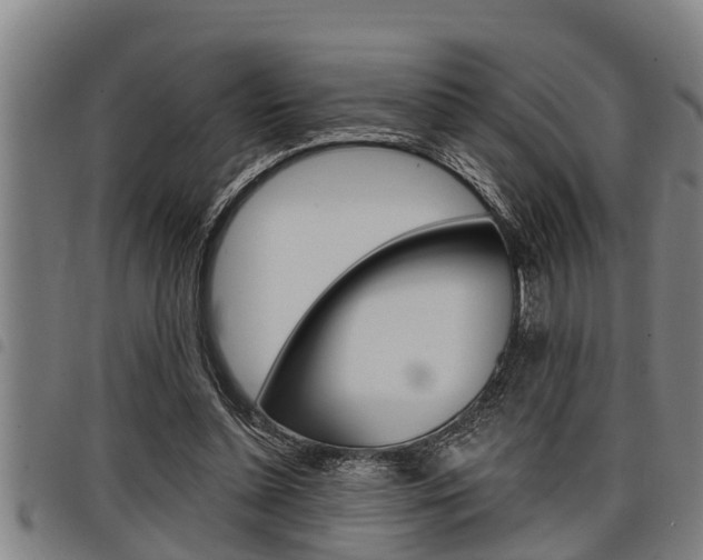 X0000098110348200804040806