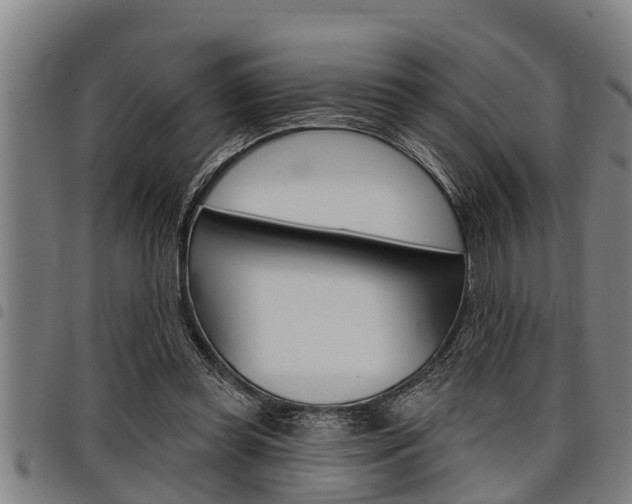 X0000098110349200804040806