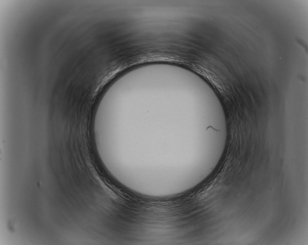 X0000098110352200804040806