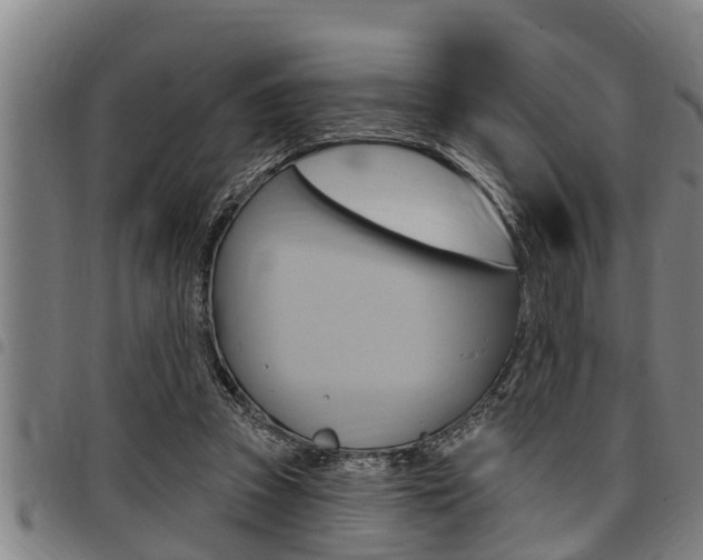 X0000098110353200804040806