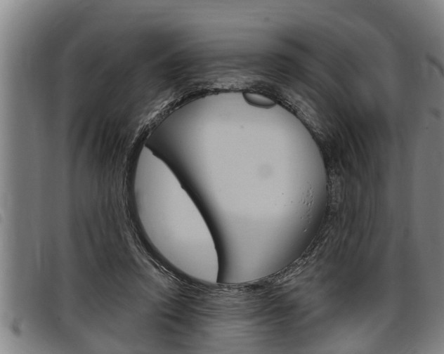 X0000098110354200804040806