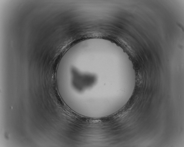 X0000098110355200804040806