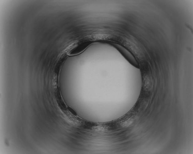 X0000098110356200804040806