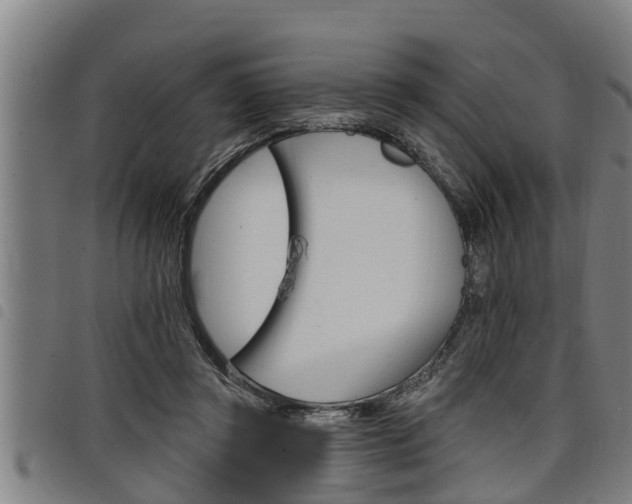 X0000098110357200804040806