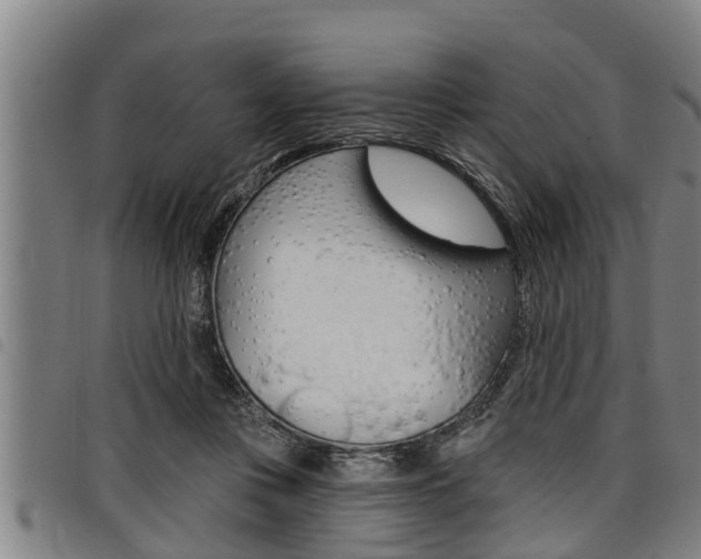 X0000098110359200804040806
