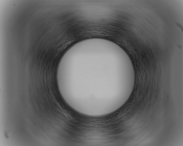 X0000098110360200804040806